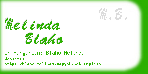 melinda blaho business card